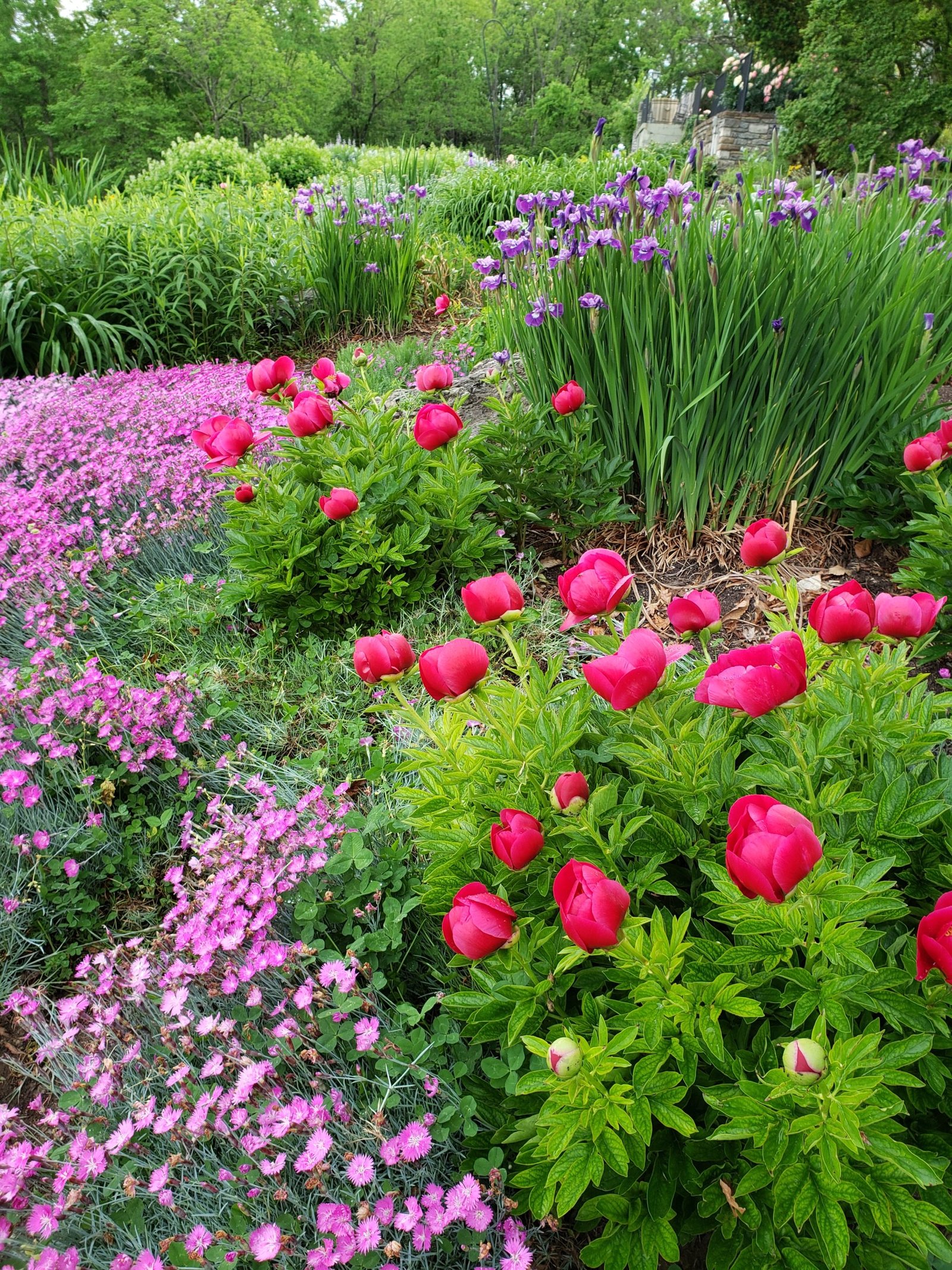 Yew Dell Botanical Gardens